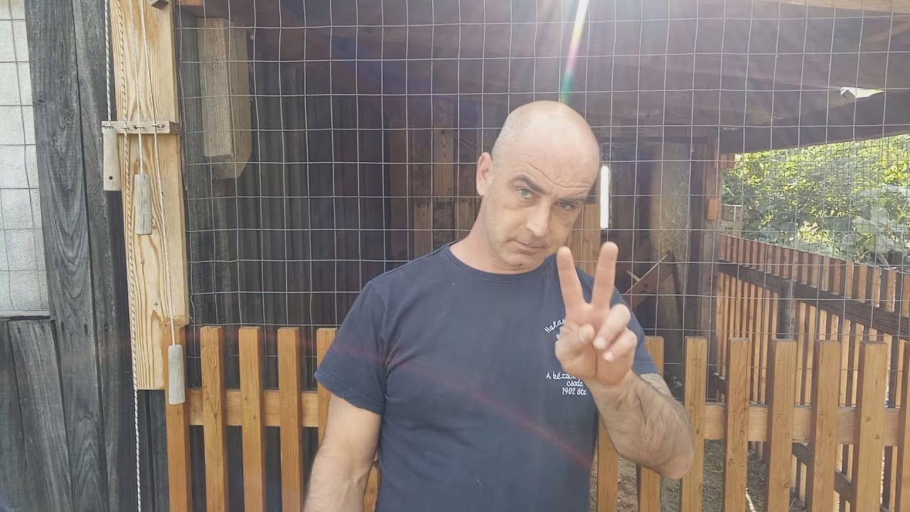 Tyúkól ajtó nyitás-zárás távirányítással - A házi automata baromfitartás egyik alapvető építőeleme