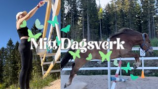 Mitt dagsverk 🐝 | Vlogg |