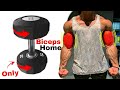 تمارين البايسبس في البيت بالدمبلز فقط (جدول تدريبي) - Dumbbell Biceps