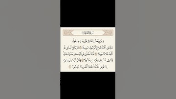 سورة الفرقان [ الأية 27 _ 31 ] | الشيخ ياسر الدوسري حفظه اللّه.