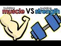 Building Muscle Vs Building Strength - What's the Difference?