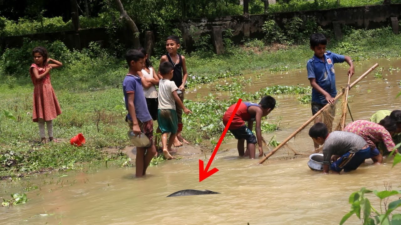 Children Primitive Fishing, local kids catching small fishes |
