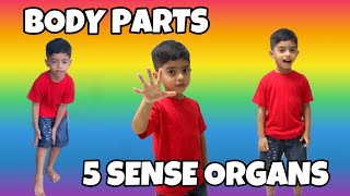 Sathvikh Teaches Body Parts & 5 Sense Organs | SN