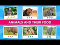 The hungry animals animals and their food