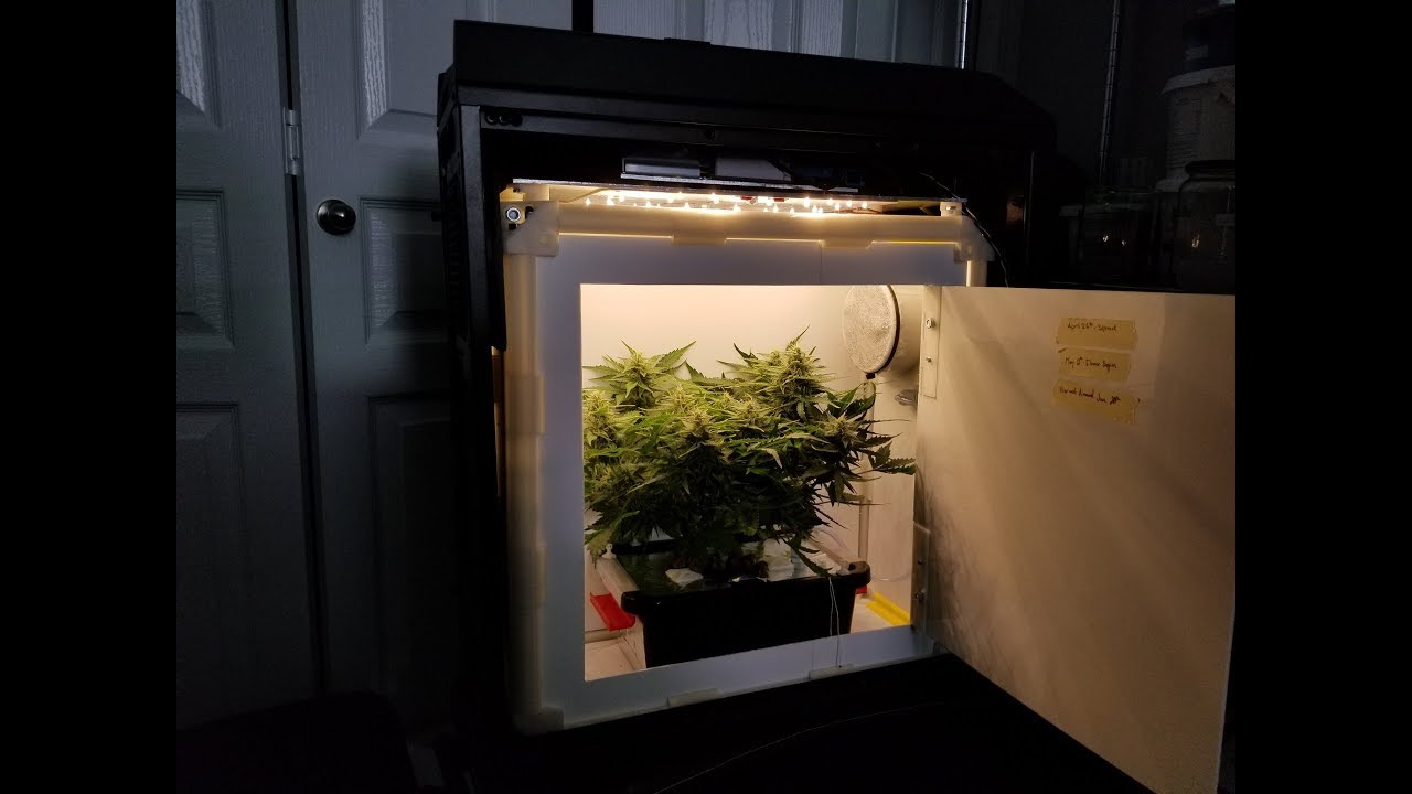 Pc Grow Box V 2 Growing Dwarf Auto Cannabis In A Computer Youtube