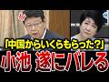 【胸糞注意】この人、本当にヤバい…日本保守党・北村晴男議員が小池都知事の悪事を暴きました…