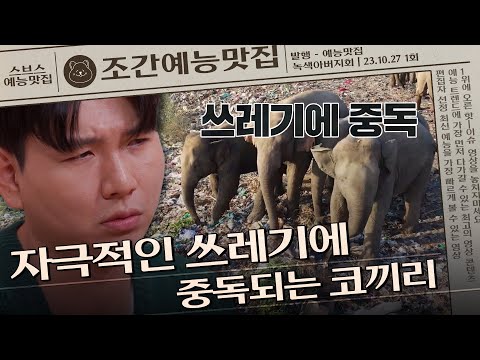 🐘신선한 쓰레기를 먹기 위해 모이는 코끼리들ㄷㄷ | 조간예능맛집 #녹색아버지회