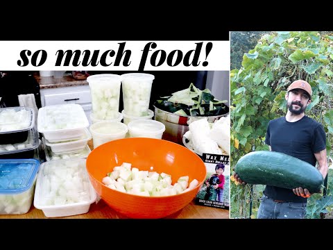 Cutting Open Our 30Lb Wintermelon - And How We're Going To Eat It All! Groundedhavenhomestead