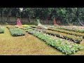 lalbagh Botanical Garden Bangalore INDIA ಕೆಂಪು ತೋಟ ಸಸ್ಯೋದ್ಯಾನ #india #nature #garden #bangalore