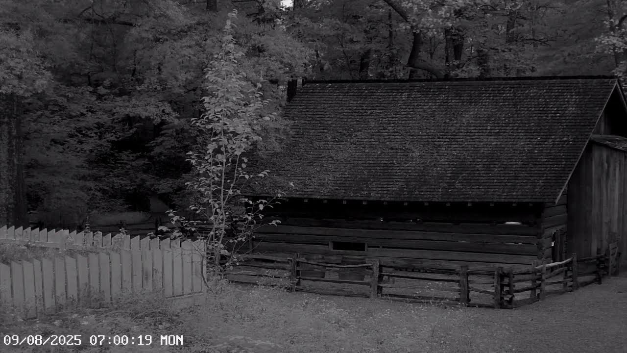 Atlanta History Center Live Goat Cam