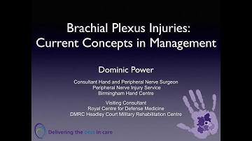 Current concepts in BPI Part 1: Anatomy, Pathomechanics and BPI Classification