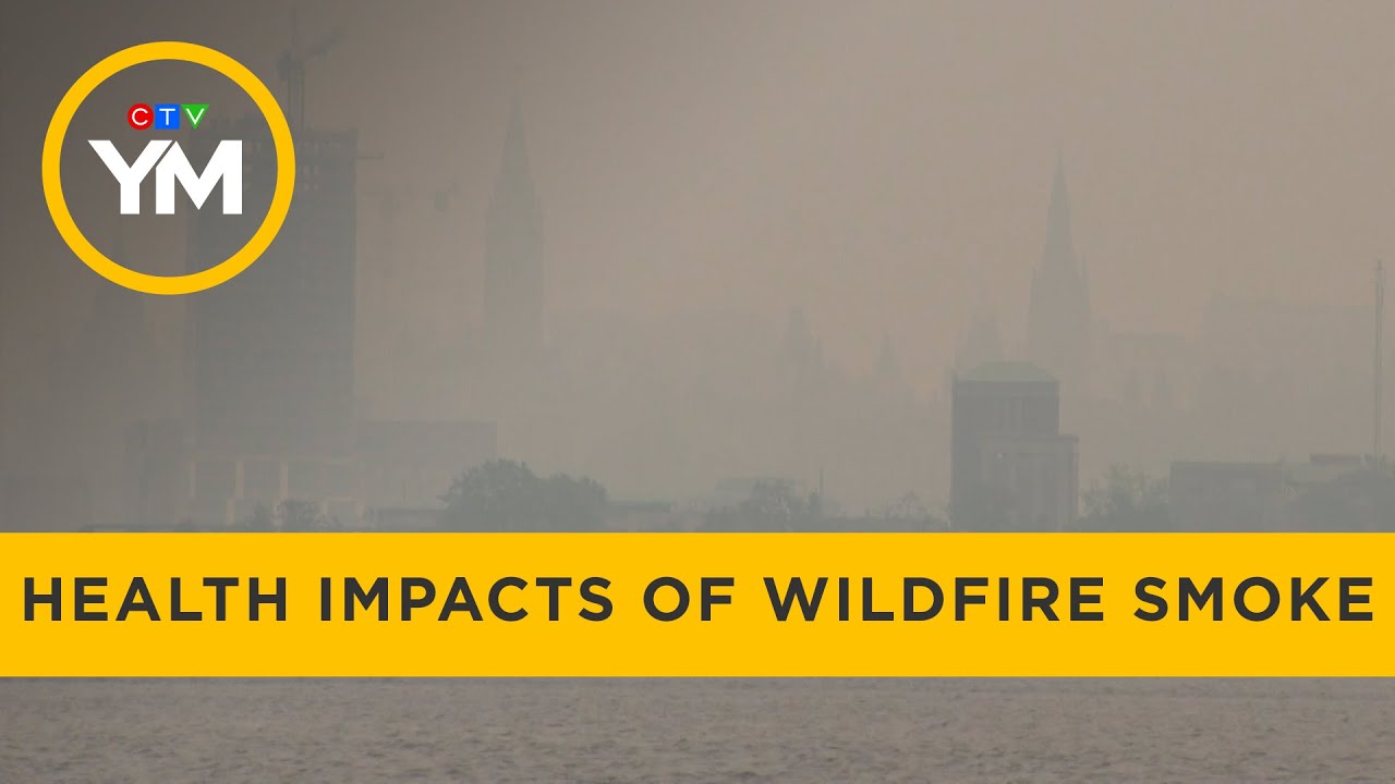 Health impacts of wildfire smoke | Your Morning - YouTube