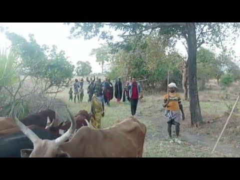 KULWA MAHAKAMA ATEMBELEA NG OMBE ZA MASANJA MWIZUKILU ZENZE MISISI