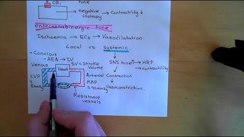 Endocannabinoids and the Cardiovascular System Part 3