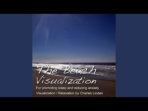 The Beach Visualization