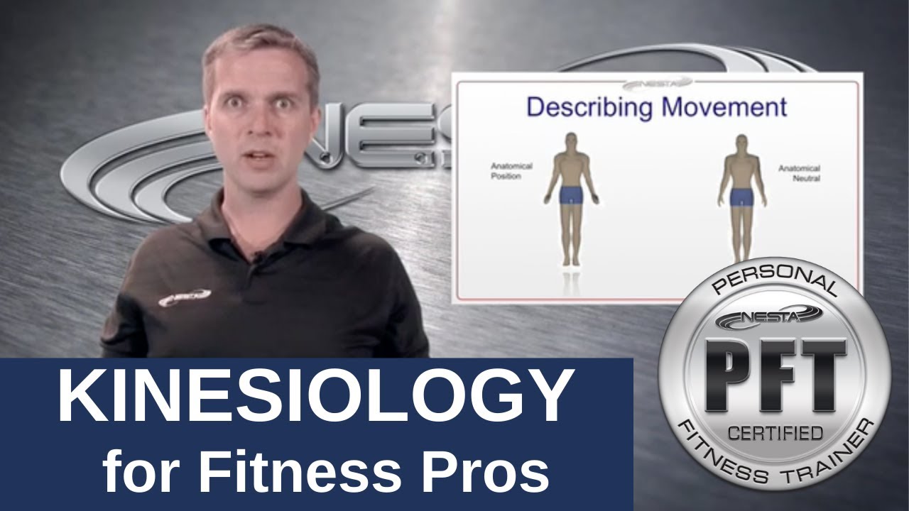 Kinesiology Education for Personal Trainers | Review & Fundamentals