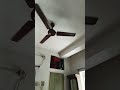 Ceiling Fan Noise 