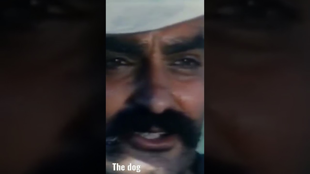 A Dog Called Vengeance