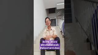 boro boro#shortsvideoyoutube