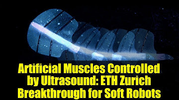 Artificial Muscles Controlled by Ultrasound: ETH Zurich Breakthrough for Soft Robots