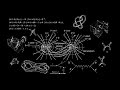 Специальная теория относительности | 4-векторы и формулы перехода