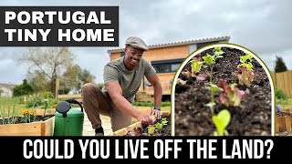 Minimalist Tiny House Living in Portugal - Vegetable Garden Included!