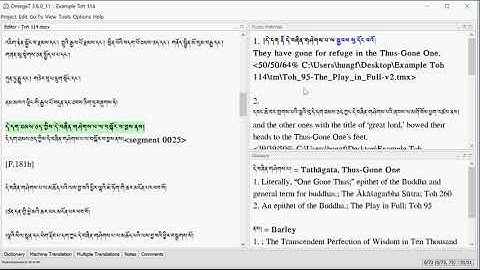 Tutorial 6: Preparing Your Document for Import to OmegaT or Any CAT Platform