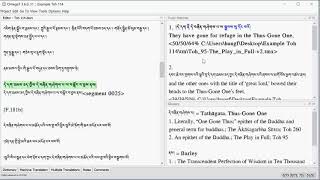 Celebrity Tutorial 6: Preparing Your Document for Import to OmegaT or Any CAT Platform Net Worth