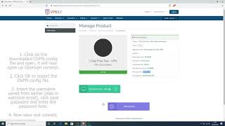 VPNILY VPN   How To Connect To OpenVPN Windows App screenshot 3