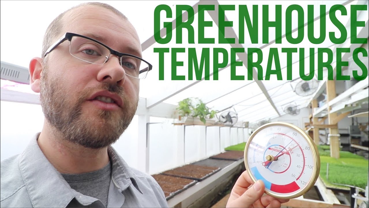 What's The Magic Number? Here's The Optimal Temperature For Your Greenhouse!