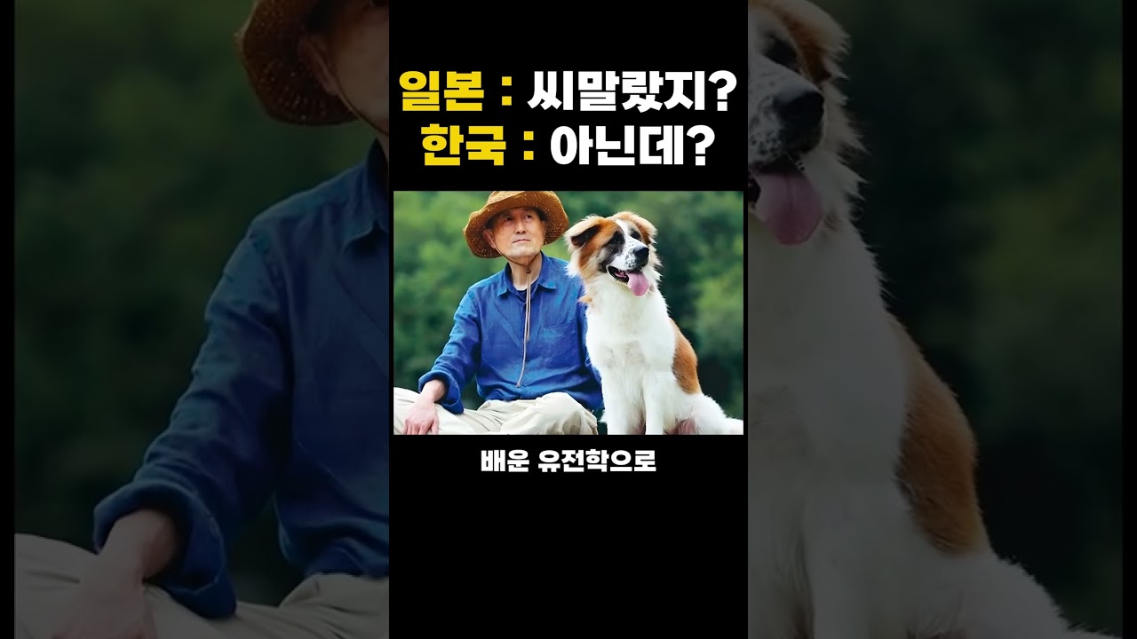 일본이 가죽 벗기려 씨를 말리던 우리나라 토종개 근황