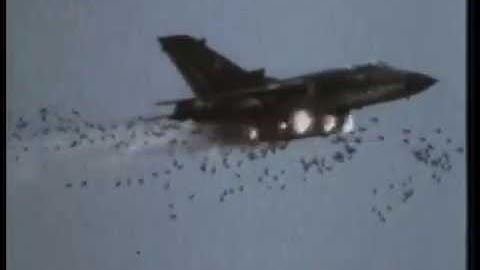 Ｍｅｈｒｚｗｅｃｋｗａｆｆｅ　１　履艶