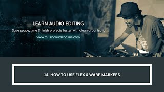 14. How to Use Flex & Warp Markers (Learn on Ableton, Logic Pro X or Any Pro DAW) screenshot 5