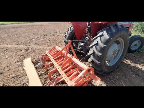 MF 360 2021