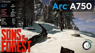 Intel Arc A750 8GB - Sons Of The Forest | DX11 vs DXVK | All Settings | 1080P