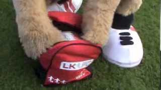 Little Kickers - Learning with Lenny