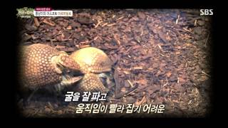 정글의법칙 130906 #37(8)