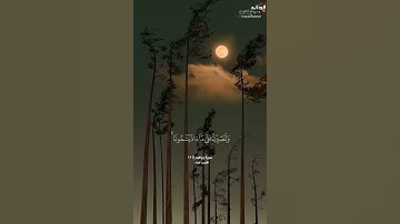 ﴿ وما لنا ألا نتوكل على الله …﴾ [إبراهيم: ١٢] || القارئ فارس عباد