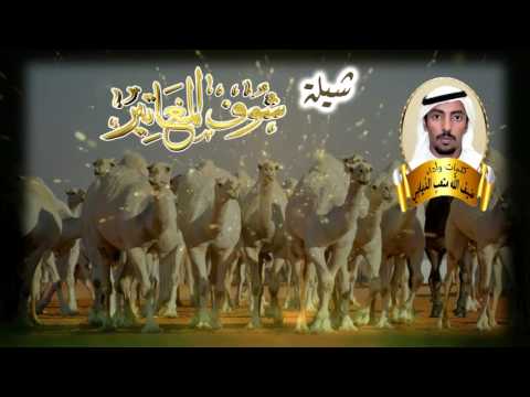 شيلة شوف المغاتير كلمات وأداء ضيف الله متعب الذيابي