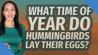 What time of year do hummingbirds lay their eggs? Hummingbirds How Many Eggs Do Hummingbirds Lay