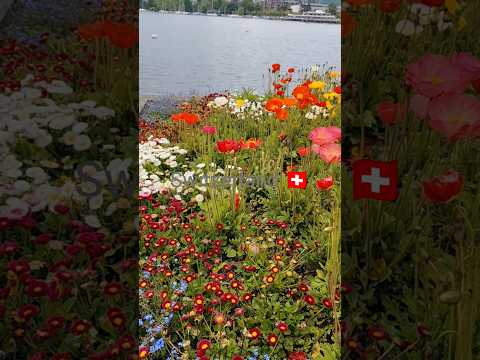 #shortsfeed #travel #shortvideo #short