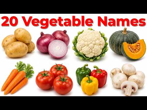 20 Vegetable Names in Hindi and English | Easy Vegetables Learning Video for Children 🥬🥕