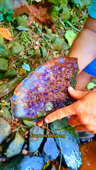 nekat masuk hutan mencari batu langka