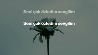 Seni Çok Özledim