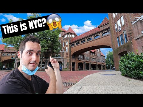 Vidéo: Avis: Restaurants & Bars à Forest Hills, Queens, NY