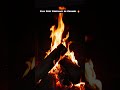 Crackling Fireplace Ambience 🔥 @ASMRcozyfireplace #asmrfireplace #burningfireplace #relax