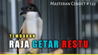 Masteran Cendet Raja Getar Restu berjeda