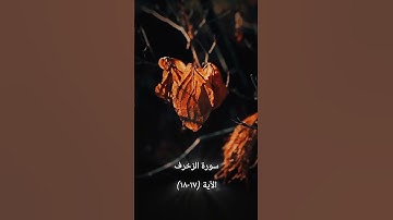 #سورة_الزخرف #القارئ #قرآن #اكسبلور #لايك #طمأنينه #راحة_نفسية #سعد_الغامدي #تلاوة_خاشعة