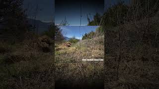 Ghillie suit for a commercial! #swissmade #sniper #ghilliesuit #camo #camouflage #marksman