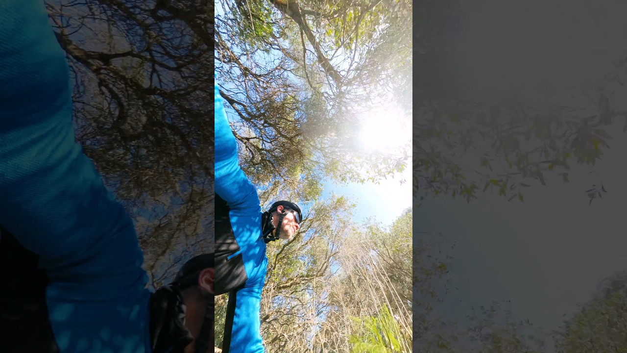 Exploring Ta' Blankas Olive Grove by Bike: Gozo’s Hidden Gem 